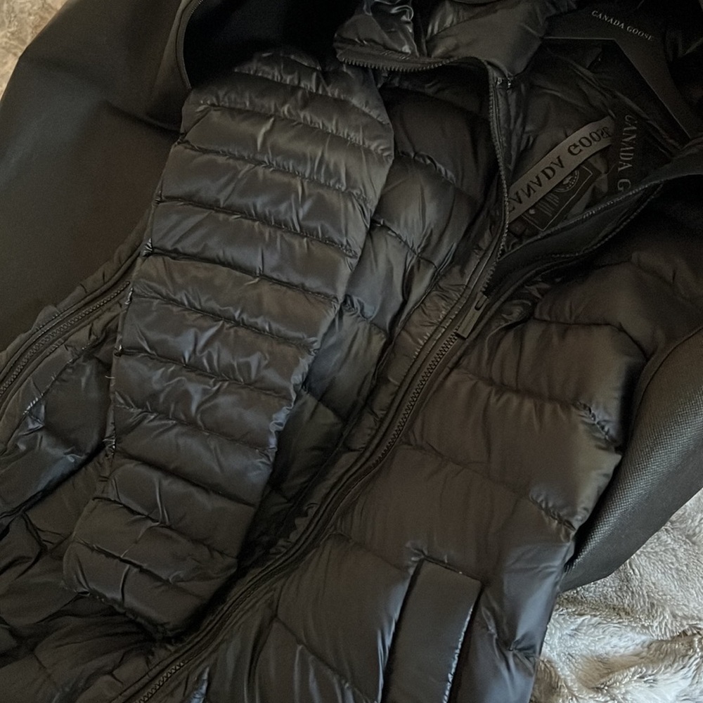 Canada Goose